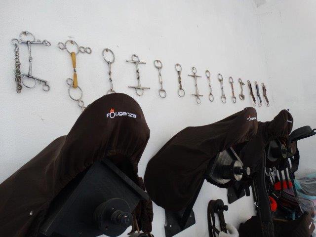 pro1